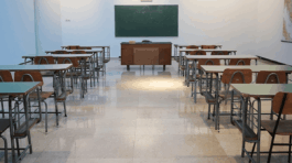 School Consultancy