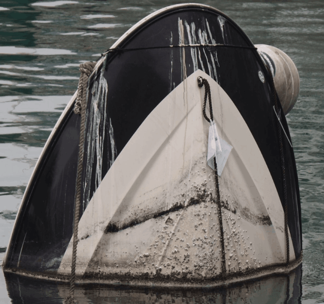 Lake Victoria Boat Disaster (1)